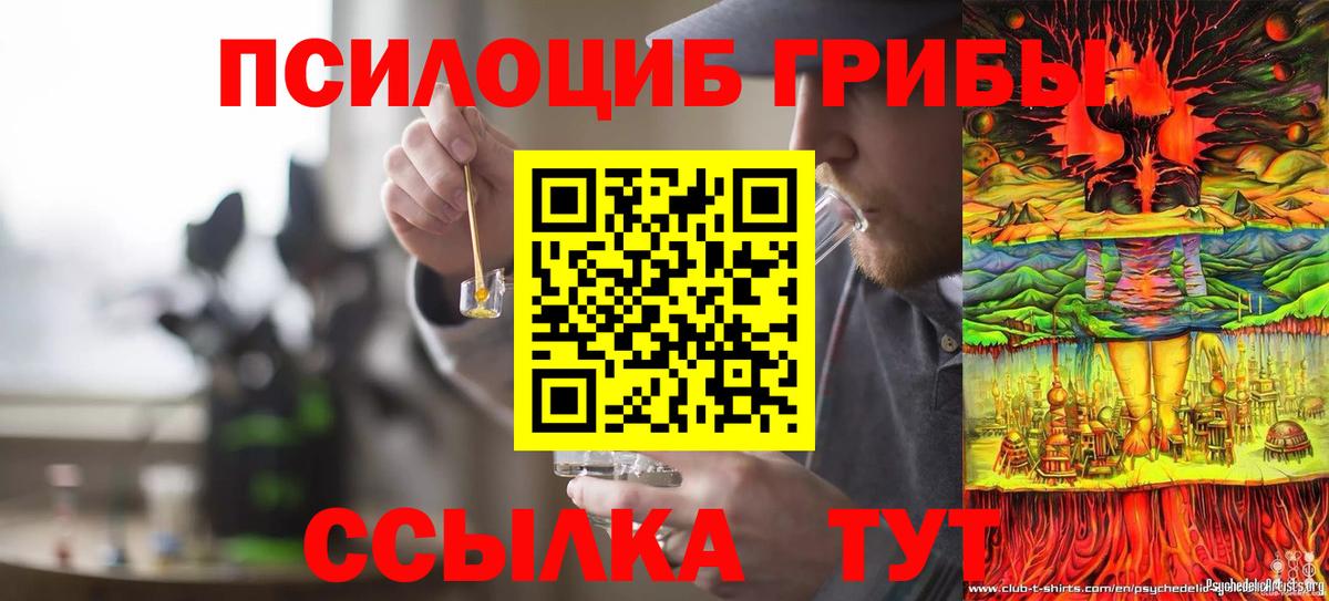 Псилоцибиновые грибы прущие грибы  Вход с VPN  Псилоцибиновые грибы Cubensis  Первоуральск 